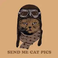 SEND ME CAT PICS - design