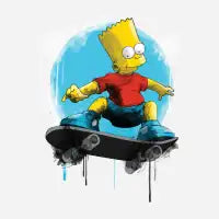 SKATER - design