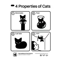 4 Properties of Cats - design