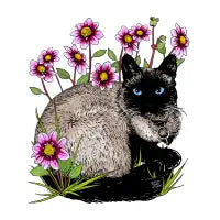 Beetle the Siamese Cat - design