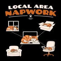 Local Area Napwork - design