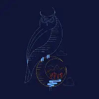 Night Owl - design