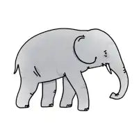 Elephant - design