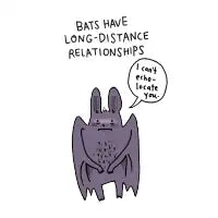 Long-Distance Bat - design