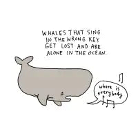 Lost Whale - design