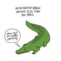 Sad Alligator - design