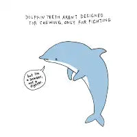 Sad Dolphin - design