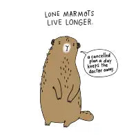 Sad Marmot - design