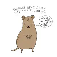 Sad Quokka T-Shirt - design