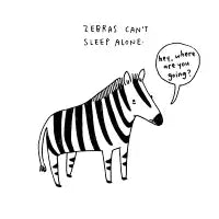 Sad Zebra - design