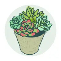 Life Succs - design