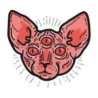 Sphynx - design