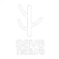 Arbol - design