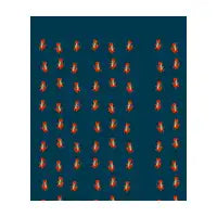 CAT SOCKS - design