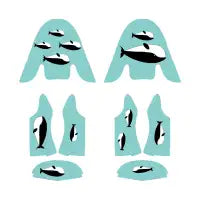 Whales - design
