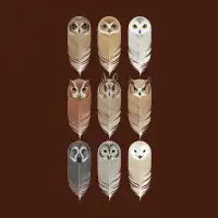 You're a Hoot - design