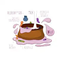 yogurt bacteria - design