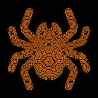 Spooky Spider - design