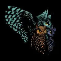Tree Owl Night - design