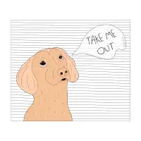 Take Me Out - design