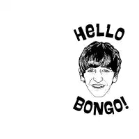 Hello Bongo! - design