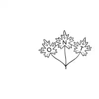 Ontario - design