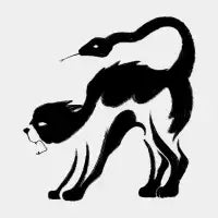 Catsnake - design