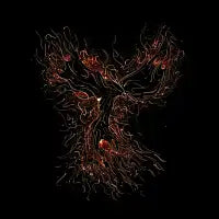 Reborn - design