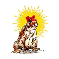 Cardinal Cane Toad - design