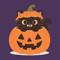Black Cat in a Pumpkin - design