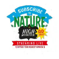 Nature! Live! - design
