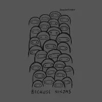 Because Ninjas (Dark) - design