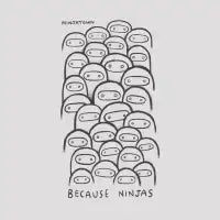Because Ninjas (Light) - design
