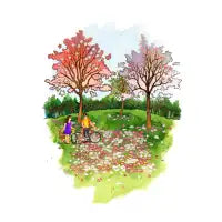 Perfect Place for a Picnic - design