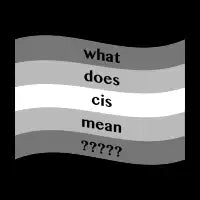 official cis pride flag - design