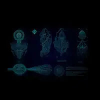 Exactus - design