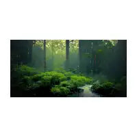 Petrichor - design