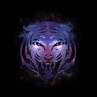 GalaTigre - design
