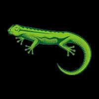 Green Lizard - design
