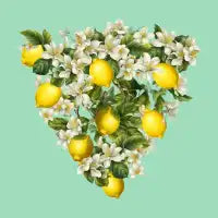 Lemons - design