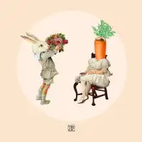 She Said NO - design
