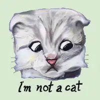 I'm not a cat - design