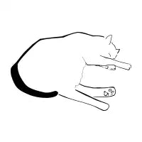 Sleeping Cat - design