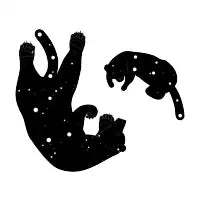 Space bears - design