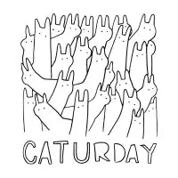caturday - design