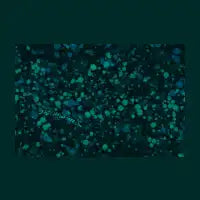Splatter Paint - Teal - design