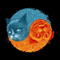 ODDLY BALANCED (CAT) - design
