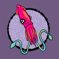 Sqwid - design