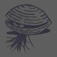 Bearded  Hipster Clams 2.0 T-Shirt - design
