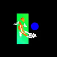 Koi - design